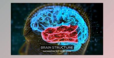 Brain Structure (4-pack) (Videohive 24089741) - AE Project