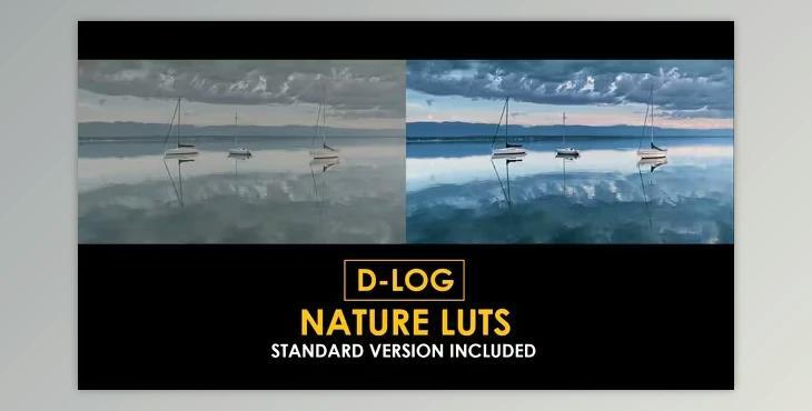 D-Log Cinema Drone Film Color LUTs (Videohive 50930932)