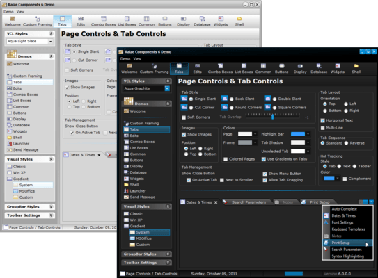 Konopka Signature VCL Controls (Raize Components 7) for Delphi 11