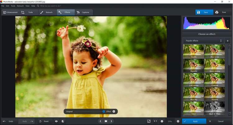 AMS Software PhotoWorks 20.0