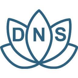 YogaDNS Pro 1.47
