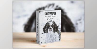 Snow Pet Lightroom Presets CreativeMarket - 6729455
