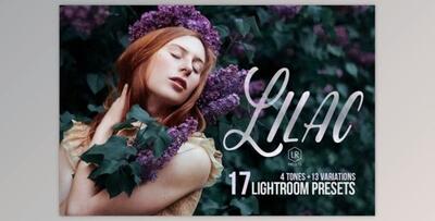 Lilac – 17 Toning Lightroom Preset 278633