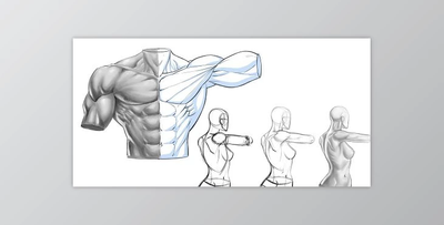 Figure Drawing – Line Art and Value