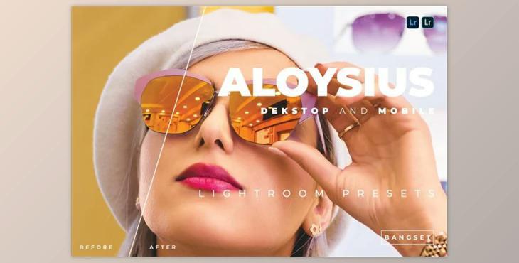 Aloysius Desktop and Mobile Lightroom Preset by Bangset