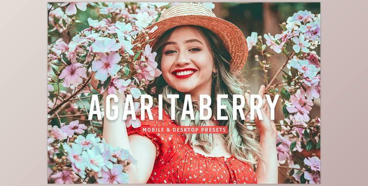 Agaritaberry Pro Lightroom Presets CreativeMarket - 7469771