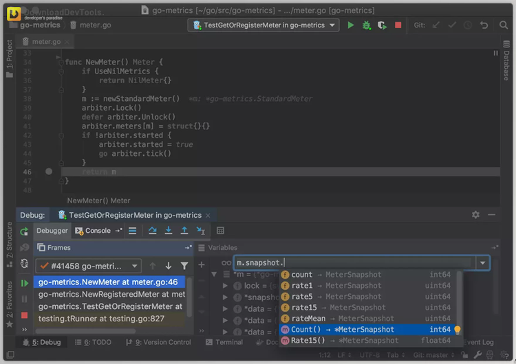 JetBrains GoLand v2025.1 Build 251.23774.430 for Win & Linux & macOS1