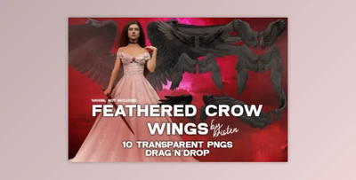 10 3D Crow Wings Photo Overlay PNGs