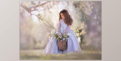 Kimla Designs – Pastel Spring Overlays