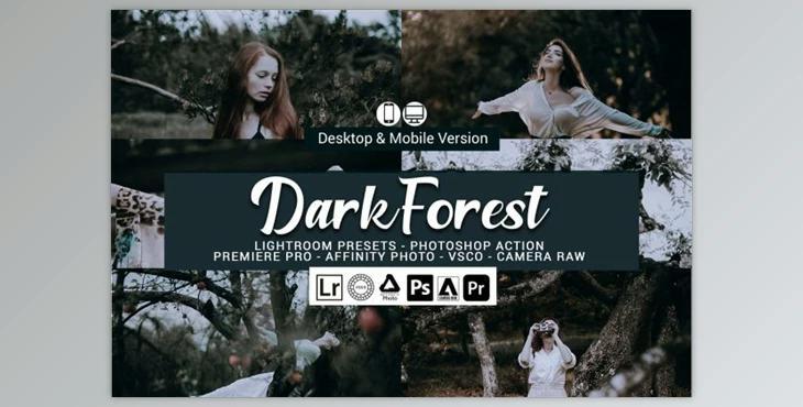 Dark Forest Lightroom Presets and LUTs By DreamColor