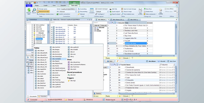 DbMouse Pro v6.4.1 + Keygen