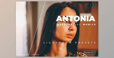 Antonia Desktop and Mobile Lightroom Preset by Bangset