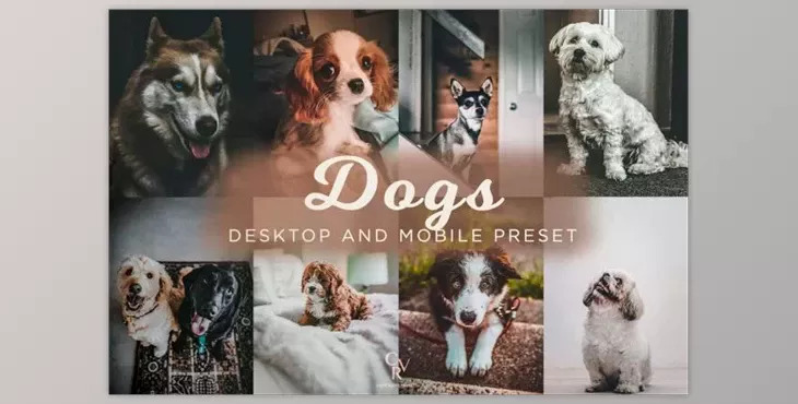 8 Dogs Lightroom Presets 6278930 (Mob, Desk)