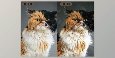 Real Paint – Photoshop Action – GraphicRiver 29809568