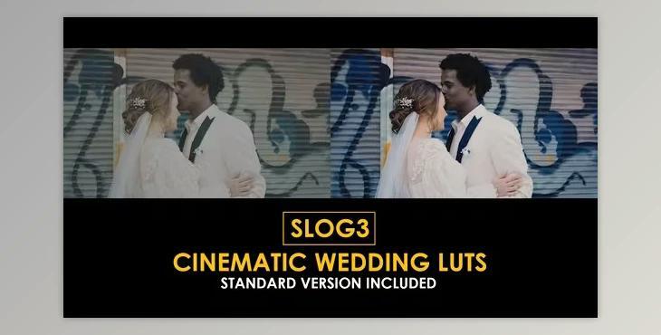 Slog3 Cinematic Wedding and Standard Color LUTs (Videohive 51047618)