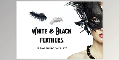 22 White and Black feathers Photo Overlays GraphicRiver - 34831392