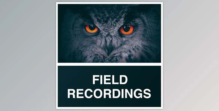 Whitenoise Records Field Recordings WAV-RYZEN