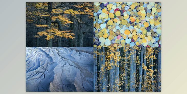 Eric Bennett – “Luminance” – Enhancing Soft Light