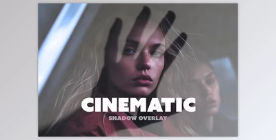 Cinematic Fogged Glass Photo Effect - 91913157