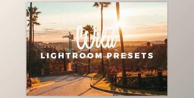 WILD Preset Pack By November Studio (lrtemplate)