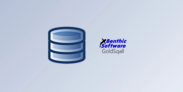 Benthic Software GoldSqall v2.0.200 (x86 & x64) + License Key