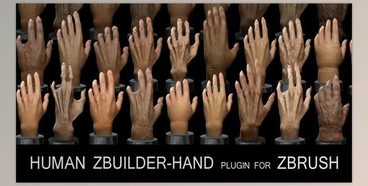 Human Zbuilder – Hand