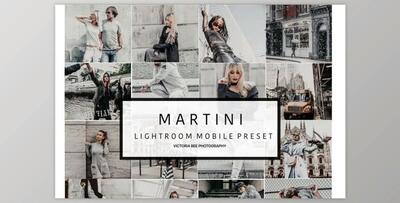 Mobile Lightroom Preset MARTINI (DNG)
