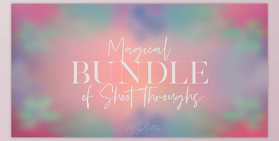 Magical Bundle of Shoot Throughs by Meg Bitton (PNG)