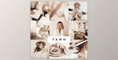Loox – Fawn Lightroom Presets