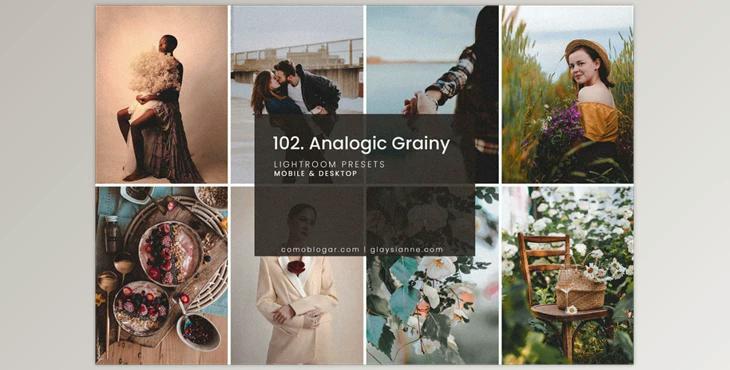 102. Analogic Grainy Presets CreativeMarket-5158850 (DNG, XMP)