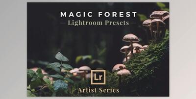 Magic Forest – Lightroom Presets (Artist Series)