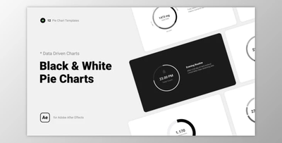 Black & White Pie Charts (Videohive 39852807) - AE Project