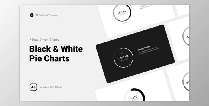 Black & White Pie Charts (Videohive 39852807) - AE Project