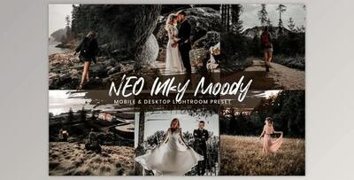 15 Lightroom Presets Neo Inky Moody By EpicoMedia (Mob, Desk)