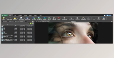 VideoPad Professional 16.35