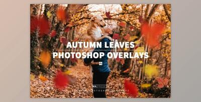 70 AUTUMN LEAVES OVERLAYS