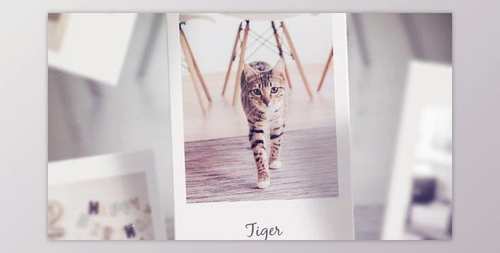 Photo Slideshow (Videohive 37086094) - AE Project