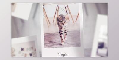 Photo Slideshow (Videohive 37086094) - AE Project