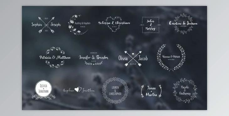 Wedding Titles Pack (Videohive 28418047) - AE Project