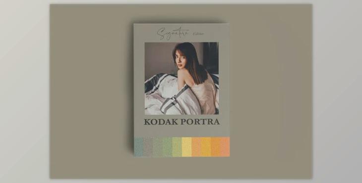 Kodak Portra Inspired Mobile Lr By Fltrr Lightroom Presets