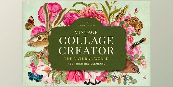 Vintage Nature Collage Creator – CreativeMarket - 6651389