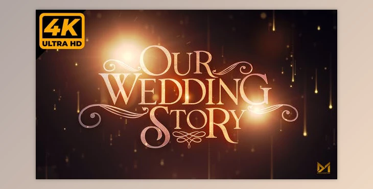 Wedding Memories (Videohive 31834551) - AE Project