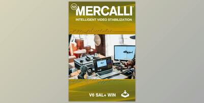 proDAD - Mercalli V6 SAL v6.0.632.1 (Win)