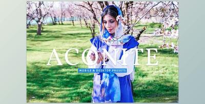 Aconite Pro Lightroom Presets CreativeMarket - 7174293