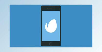 Global Search Website (Videohive 16208199)