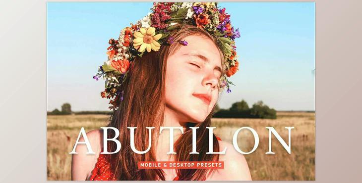 Abutilon Pro Lightroom Presets CreativeMarket - 6925550