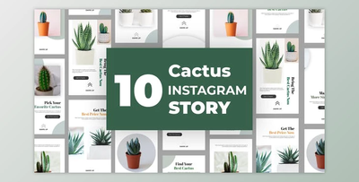Cactus Instagram Story Pack (Videohive 33211459) - AE Project