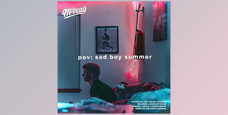 91Vocals Pov Sad Boy Summer (WAV)