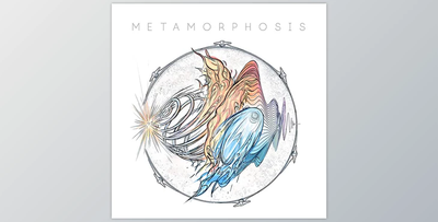 Mattia Cellotto Metamorphosis