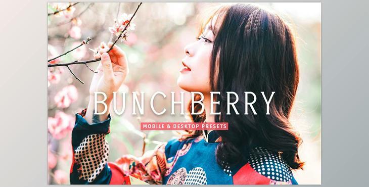 Bunchberry Pro Lightroom Presets CreativeMarket - 7469777